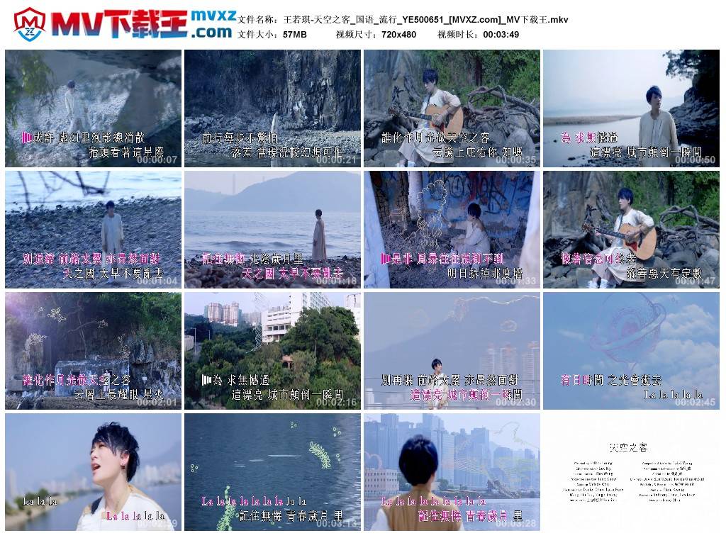 王若琪-天空之客_国语_流行_YE500651